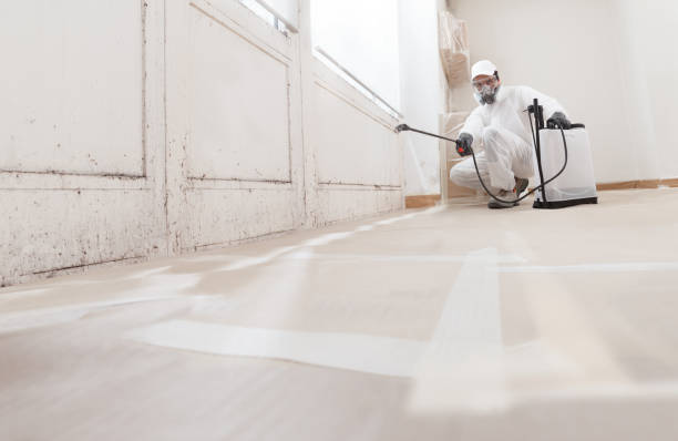 24/7 Emergency Mold Remediation experts in Paris, IL